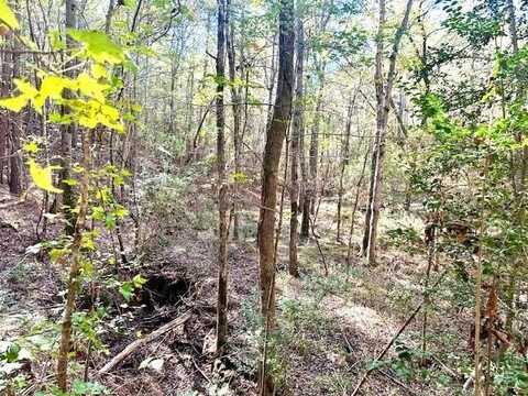 Lot 2 CR 969, Cushing, TX 75760