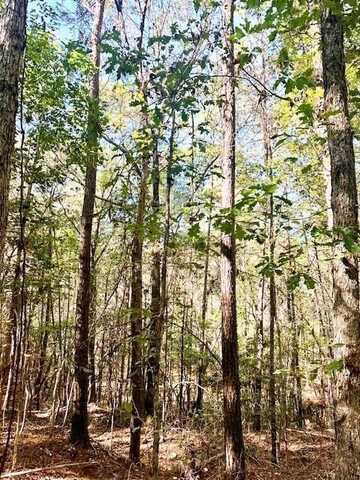 Lot 1 CR 969, Cushing, TX 75760