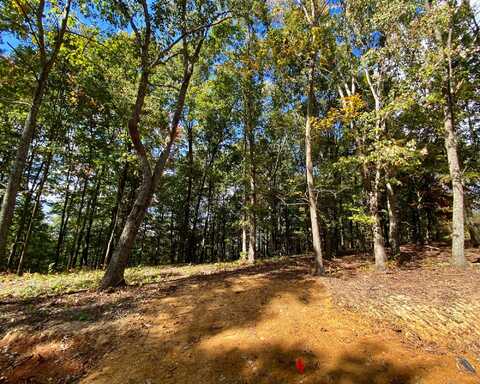 Lot 11 Sky Ridge Retreats, Denniston, KY 40316