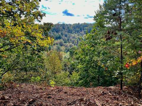 Lot 14 Sky Ridge Retreats, Denniston, KY 40316