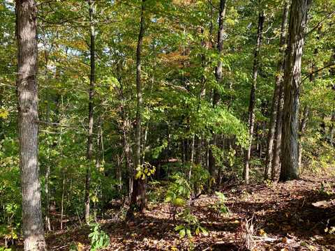 Lot 7 Sky Ridge Retreats, Denniston, KY 40316