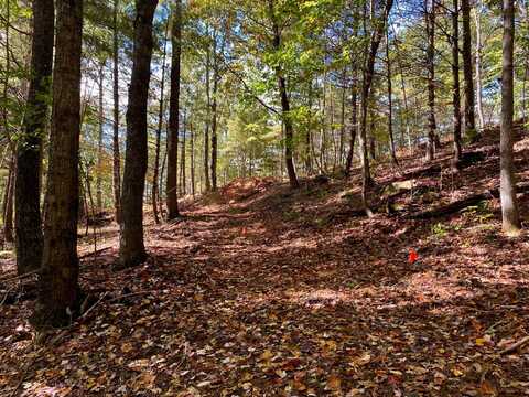 Lot 15 Sky Ridge Retreats, Denniston, KY 40316