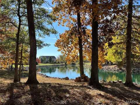 9139 Wiltshire Drive, Columbia, IL 62236