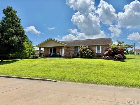 1001 Harry Avenue, Perryville, MO 63775