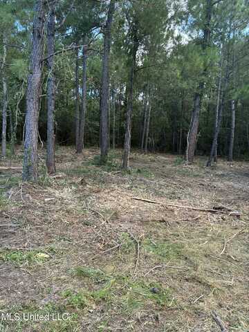 Henderson Avenue, Pass Christian, MS 39571