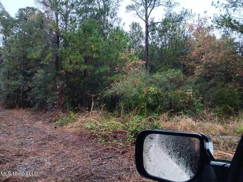 Henderson Avenue, Pass Christian, MS 39571