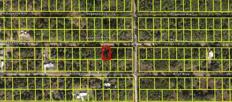 333 REDWOOD BOULEVARD, GEORGETOWN, FL 32139