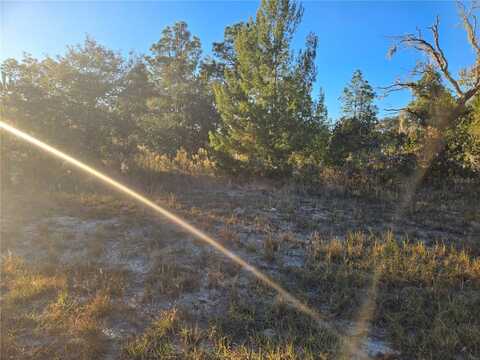 Tbd SW 88 COURT, OCALA, FL 34473
