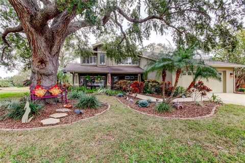 390 CYPRESS CREEK CIRCLE, OLDSMAR, FL 34677