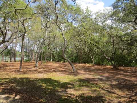 0 SE 10 STREET, SILVER SPRINGS, FL 34488