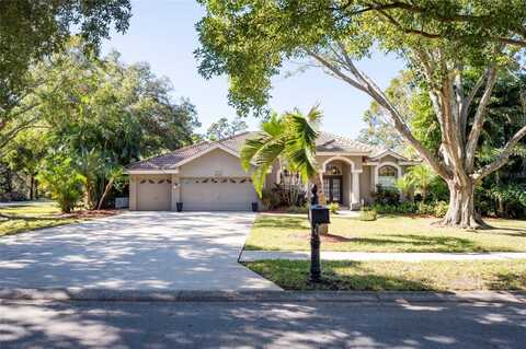3194 MEADOW VIEW LANE, PALM HARBOR, FL 34683