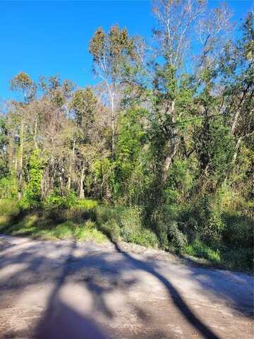 MORENA STREET, NEW PORT RICHEY, FL 34654