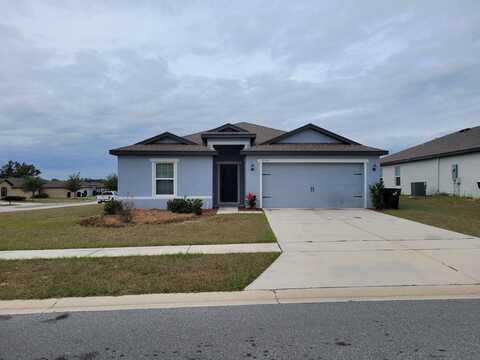 1705 GOPHER TREE STREET, MASCOTTE, FL 34753