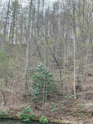 lot 13 Hidden Lake Road, TOPTON, NC 28781