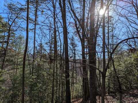 undefined, MURPHY, NC 28906