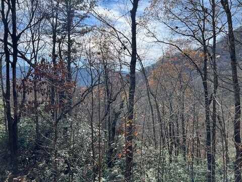 Lot 19 The Highlands at Hightower Ridge, HIAWASSEE, GA 30546