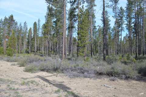 Bitterbrush Lane, Crescent, OR 97733