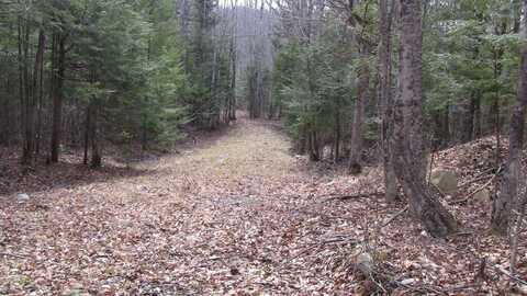 Lot 33.2 Sawyers Mills Road, Starks, ME 04911