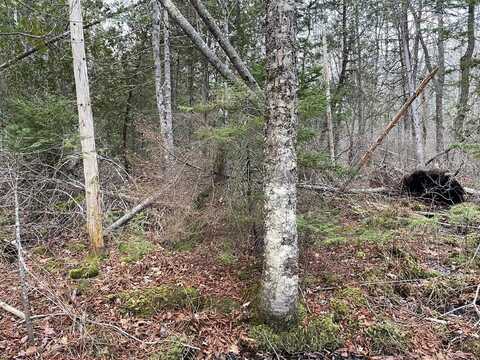 225 Priest Road, Northport, ME 04849