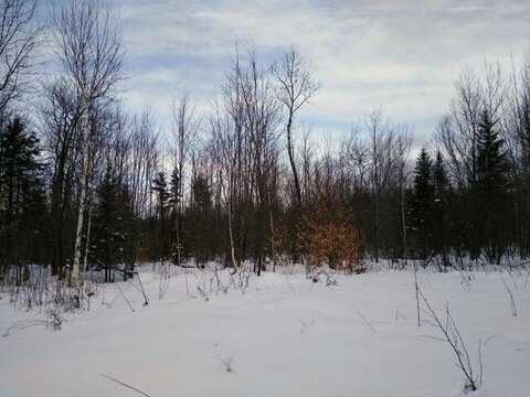 Map2lot10 Pinkham Road, Alton, ME 04468