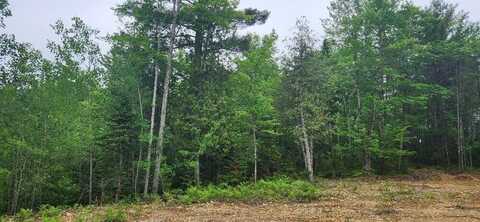 Map2lot10 Pinkham Road, Alton, ME 04468