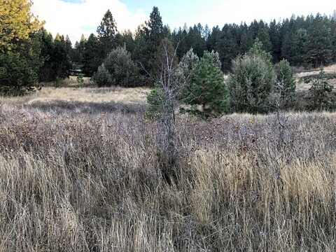 1504 15th Avenue E, Polson, MT 59860