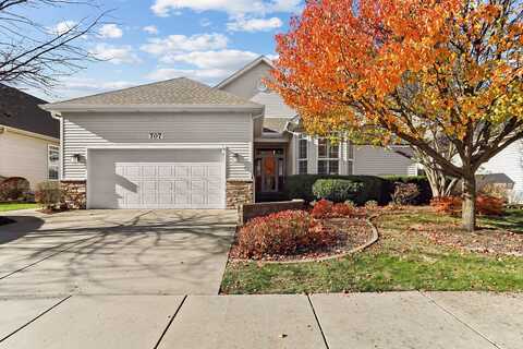 707 Sanctuary Lane, Joliet, IL 60435