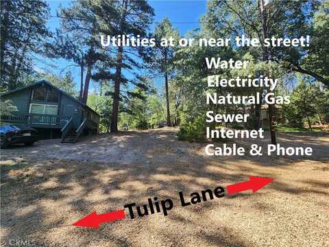 32754 Tulip Lane, Arrowbear, CA 92382