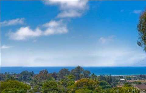 1669 Burgundy Rd, Encinitas, CA 92024