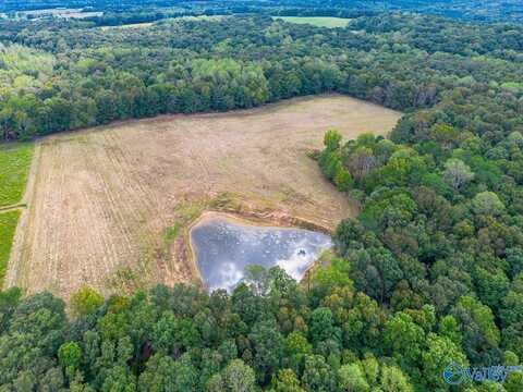 40 Acres Eva Road, Falkville, AL 35622