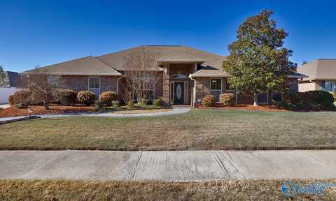 110 Virginia Fern Circle, Huntsville, AL 35757