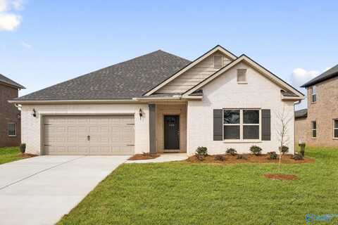 189 Saddle Street, New Market, AL 35761