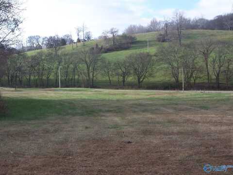 2176 Hwy 31, Pulaski, TN 38478