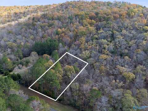 3 Acres Ashley Drive, Grant, AL 35747