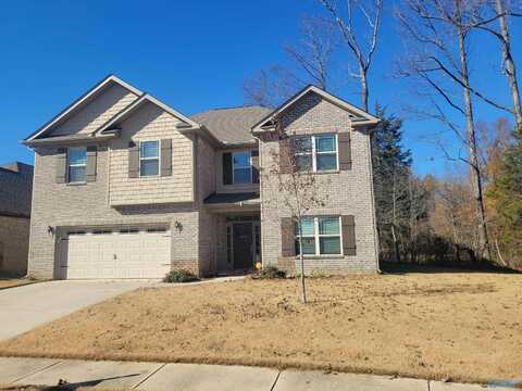 129 Kretzer Court, Huntsville, AL 35806