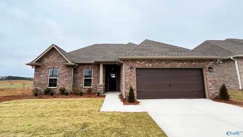 17763 Cabernet Street, Athens, AL 35613
