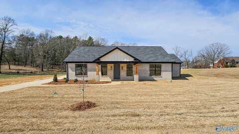 18641 Bill Black Road, Athens, AL 35614