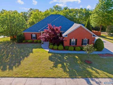 166 Rainbow Glen Circle, Madison, AL 35758