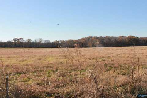 Lot 3 Huckaby Bridge Road, Falkville, AL 35622