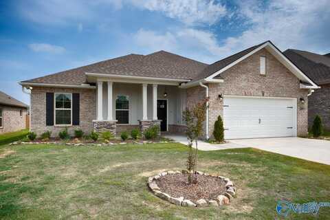 24069 Quints Drive, Athens, AL 35613