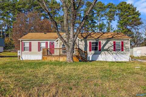 109 Sublimity Court, Hazel Green, AL 35750