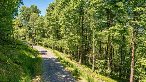 Lot 10 Trailwoods Circle, Bruceton Mills, WV 26525