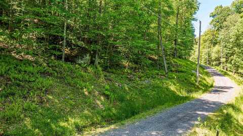 Lot 17 Trailwoods Circle, Bruceton Mills, WV 26525