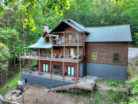 840 Deer Crest Road, Blue Ridge, GA 30513