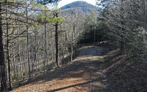 Upper Pilot Road, Suches, GA 30572