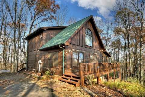 462 Lower Prince Mountain Road, Cherry Log, GA 30522