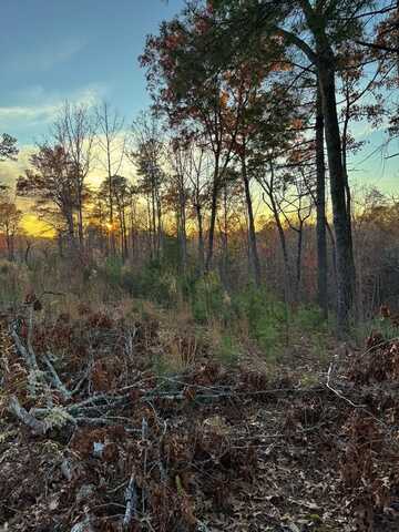 Lot 133 Sundown Trail, Ellijay, GA 30541