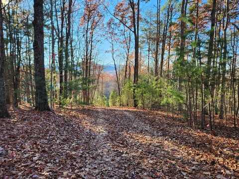 Price Road, Blue Ridge, GA 30513