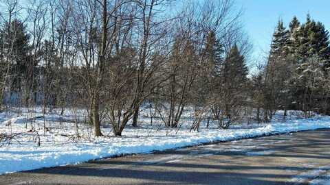 Lot 1 CUSTER SQUARE, Stevens Point, WI 54482