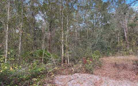 SE KERCE GLEN, LuLu, FL 32061